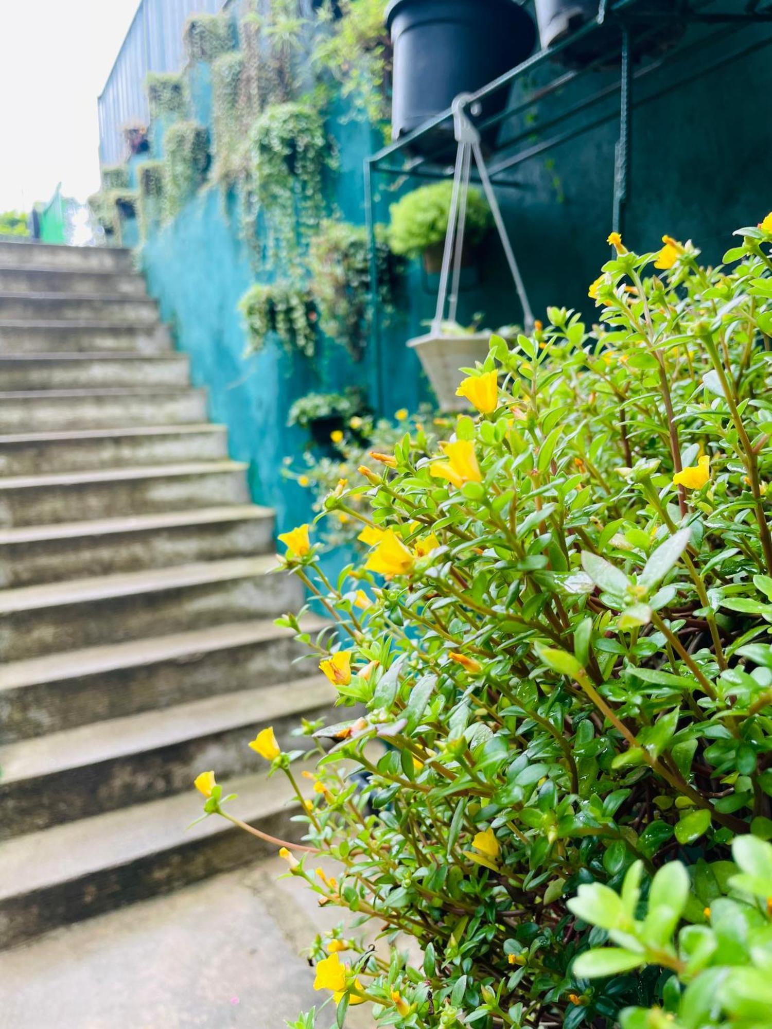 Little Paradise Homestay Ella Exterior foto